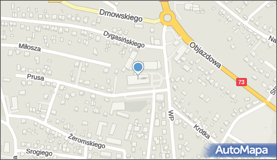 DHL POP Lidl, Wojska Polskiego 33a, Busko-Zdrój 28-100, godziny otwarcia