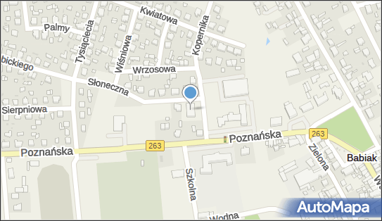 DHL POP Sklep Groszek, KOPERNIKA 1B, Babiak 62-620, godziny otwarcia