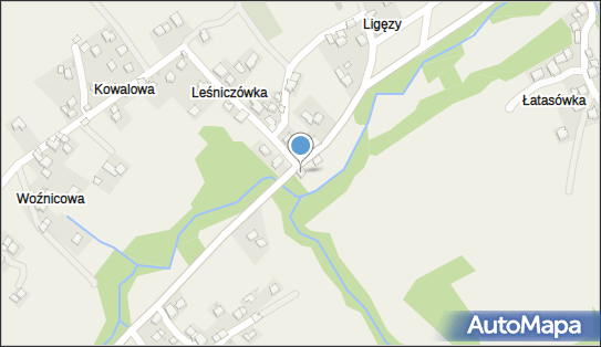 DHL POP Sklep u Paulinki, TRZEBUNIA 698, Trzebunia 32-438, godziny otwarcia