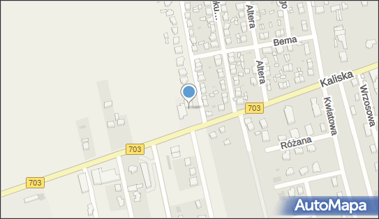 DHL POP Stacja Paliw Leszcze Elżbieta Wawrzyniak, Leszcze 65 99-100, godziny otwarcia