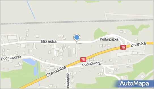 DHL POP ŻABKA, BRZESKA 95A, Bochnia 32-700, godziny otwarcia