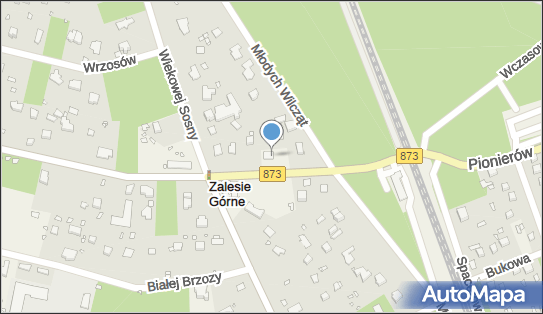 DHL POP ŻABKA, Pionierów 4, Zalesie Górne 05-540, godziny otwarcia