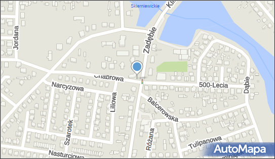 DHL POP ŻABKA, Chabrowa 2, Skierniewice 96-100, godziny otwarcia