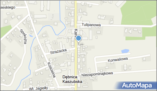 DHL ServicePoint, Ks.antoniego Kani 29A, Dębnica Kaszubska 76-248, godziny otwarcia