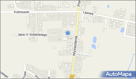 Dino, Wyzwolenia 10, Orchowo 62-436, godziny otwarcia