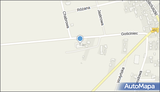 Dino, Gościniec 33, Ostrowy nad Okszą 42-122, godziny otwarcia
