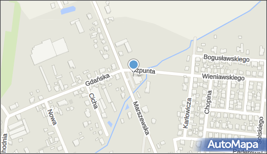 Dino, Marszewska 64A, Pleszew 63-300, godziny otwarcia