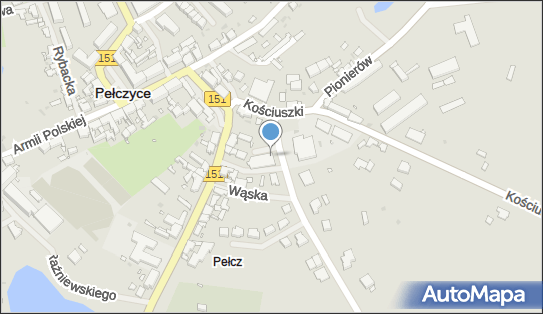 Dino, Ul. Pełczyk 2A, Pełczyce 73-260, godziny otwarcia