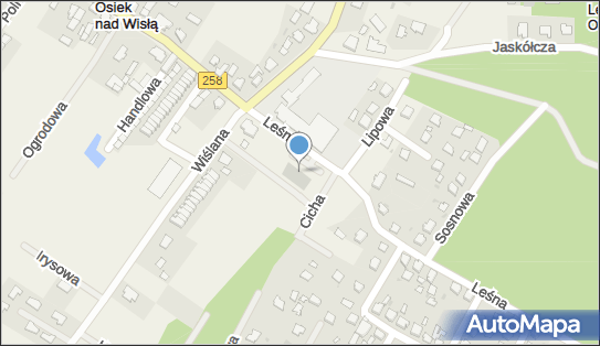 Dino, Leśna 4, Osiek nad Wisłą 87-125, godziny otwarcia