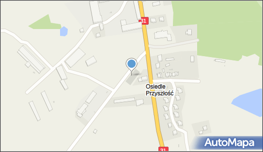 Dino, Chojeńska 17A, Moryń 74-503, godziny otwarcia