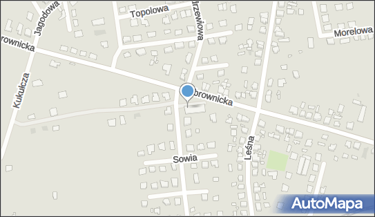 Dino, Bobrownicka 43, Wągrowiec 62-100, godziny otwarcia