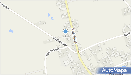 Dino, Kościelna 2B, Sieroszewice 63-405, godziny otwarcia