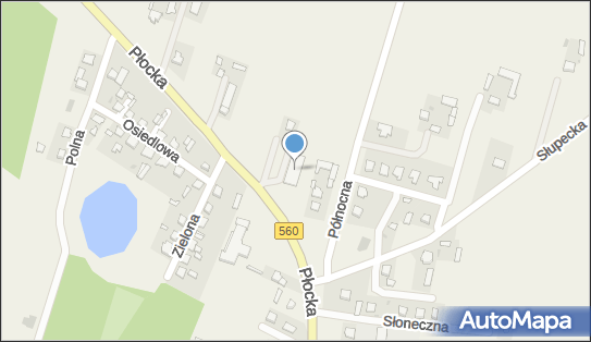 Dino, Płocka 21A, Lelice 09-212, godziny otwarcia