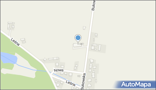 Dino, Bukowska 70, Szewce 64-320, godziny otwarcia