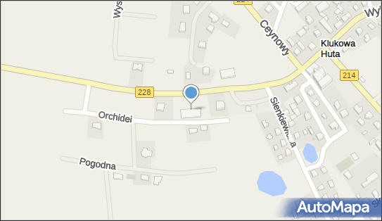 Dino, Orchidei 13, Klukowa Huta 83-322, godziny otwarcia