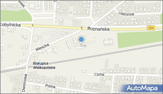 Dino, Mieszka I 12A, Biskupice 62-007, godziny otwarcia