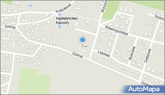 Dino, Górna 16C, Kaczory 64-810, godziny otwarcia