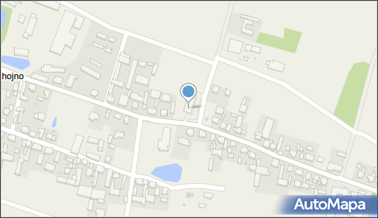 Dino, Chojno 30C, Chojno 63-921, godziny otwarcia