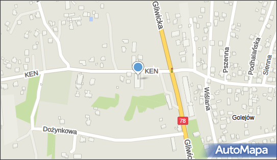 Dino, Komisji Edukacji Narodowej 5, Rybnik 44-207, godziny otwarcia