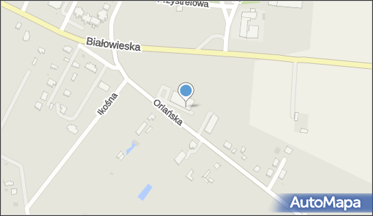 Dino, Orlańska 1A, Bielsk Podlaski 17-100, godziny otwarcia