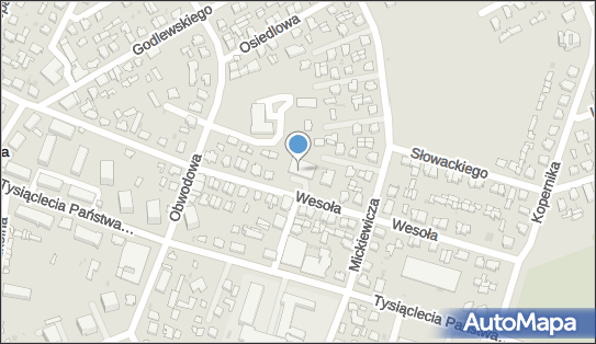 Dino, Wesoła 21, Dąbrowa Białostocka 16-200, godziny otwarcia