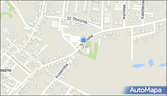 Dino, Toruńska 1A, Trzemeszno 62-240, godziny otwarcia