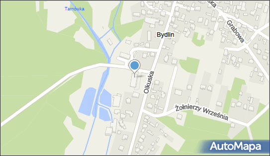 Dino, Olkuska 24B, Klucze 32-310, godziny otwarcia