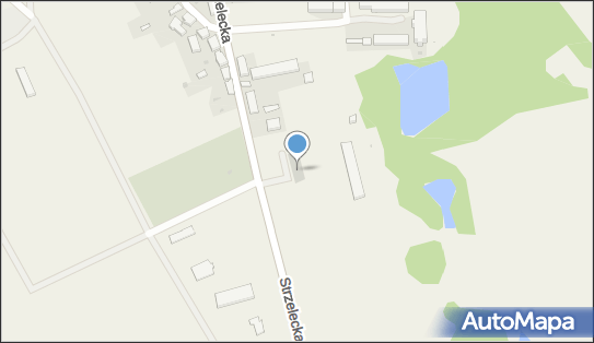 Dino, Strzelecka 25, Strzelce Krajeńskie 66-500, godziny otwarcia