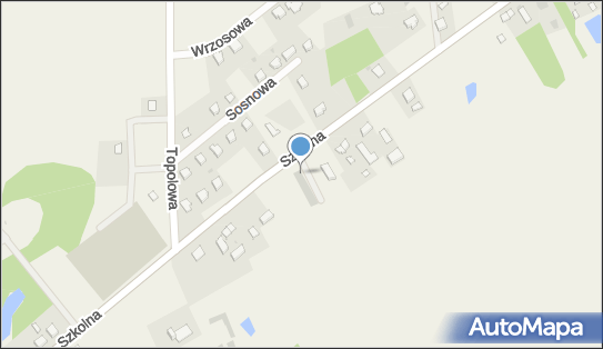 Dino, Szkolna 22A, Borzechowo 83-224, godziny otwarcia