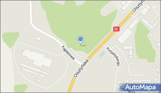 Dino, Kąpielowa 2, Lidzbark Warmiński 11-100, godziny otwarcia