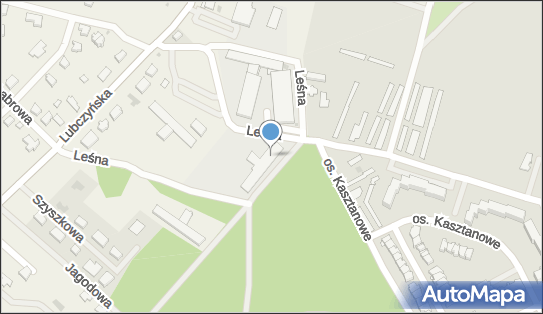 Dino, Leśna 3A, Załom 70-896, godziny otwarcia