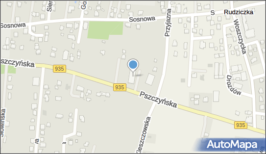 Dino, Pszczyńska 159, Żory 44-240, godziny otwarcia