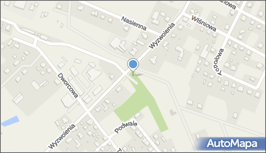 Dino, Wyzwolenia 24A, Liniewo 83-420, godziny otwarcia