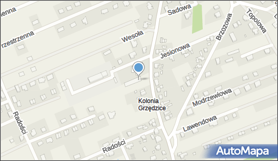 Dino, Gryfa 31, Grzędzice 73-110, godziny otwarcia