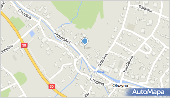 DPD Pickup Automaty, pon-ndz 00:00-24:00, Olszyna, godziny otwarcia