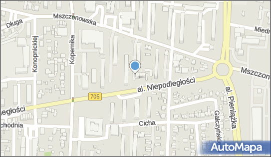 DPD Pickup Automaty, pon-ndz 00:00-24:00, Skierniewice, godziny otwarcia