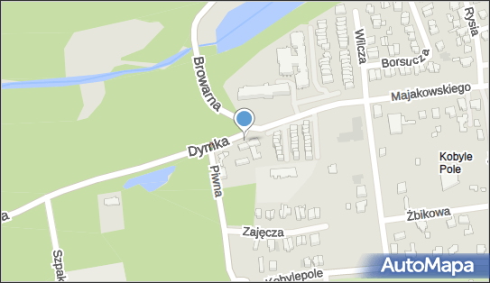 DPD Pickup Automaty, pon-ndz 00:00-24:00, Poznań, godziny otwarcia