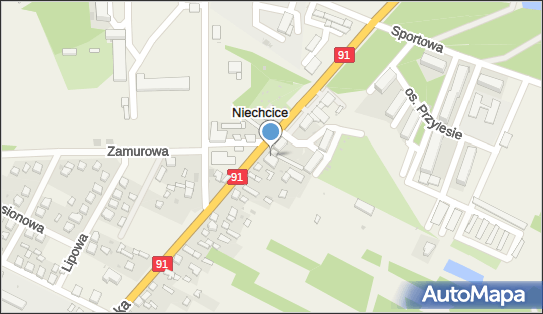 DPD Pickup Automaty, pon-ndz 00:00-24:00, Niechcice, godziny otwarcia