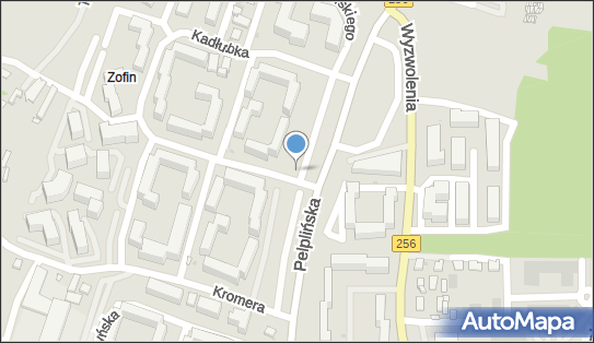 DPD Pickup Automaty, pon-ndz 00:00-24:00, Bydgoszcz, godziny otwarcia