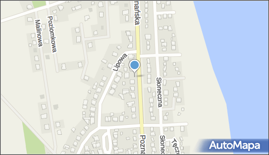 DPD Pickup Automaty, pon-ndz 00:00-24:00, Niepruszewo, godziny otwarcia