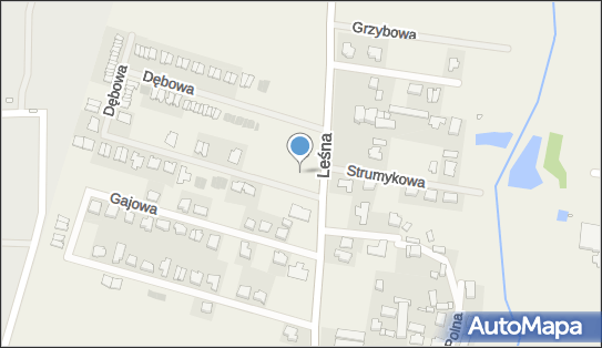 DPD Pickup Automaty, Dębowa 2, Tulce 63-004, godziny otwarcia