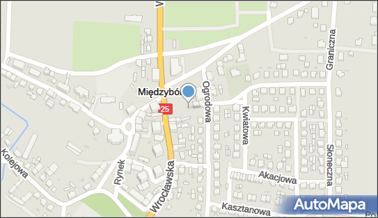 DPD Pickup Automaty, Ogrodowa 2, Międzybórz 56-513, godziny otwarcia