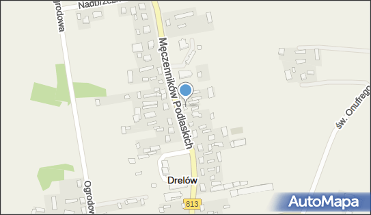 DPD Pickup Automaty, Męczenników Podlaskich 24, Drelów 21-570, godziny otwarcia