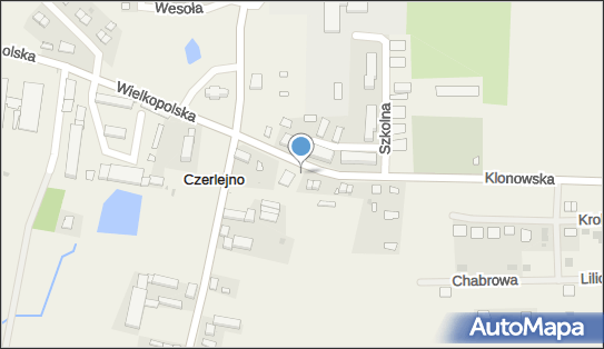 DPD Pickup Automaty, Klonowska 4, Czerlejno 62-025, godziny otwarcia