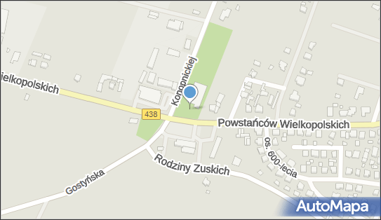 DPD Pickup Automaty, Konopnickiej Marii 19, Borek Wielkopolski 63-810, godziny otwarcia