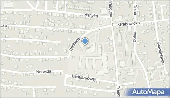DPD Pickup Automaty, pon-ndz 00:00-24:00, Czechowice-Dziedzice, godziny otwarcia