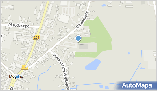 DPD Pickup Automaty, pon-ndz 00:00-24:00, Mogilno, godziny otwarcia