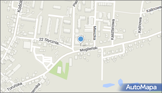 DPD Pickup Automaty, pon-ndz 00:00-24:00, Trzemeszno, godziny otwarcia