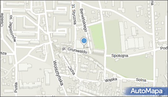 DPD Pickup Automaty, pon-ndz 00:00-24:00, Wschowa, godziny otwarcia