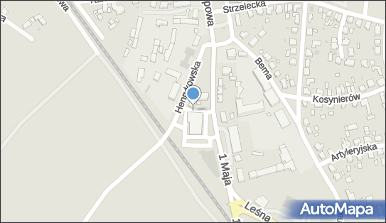 DPD Pickup Automaty, pon-ndz 00:00-24:00, Leszno, godziny otwarcia